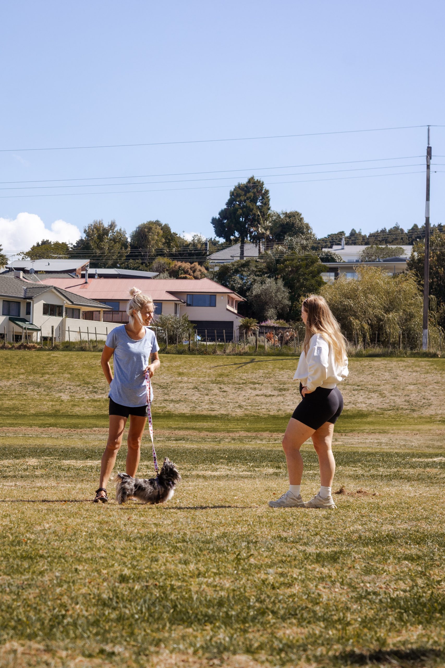 Helping you understand your dog's behaviour