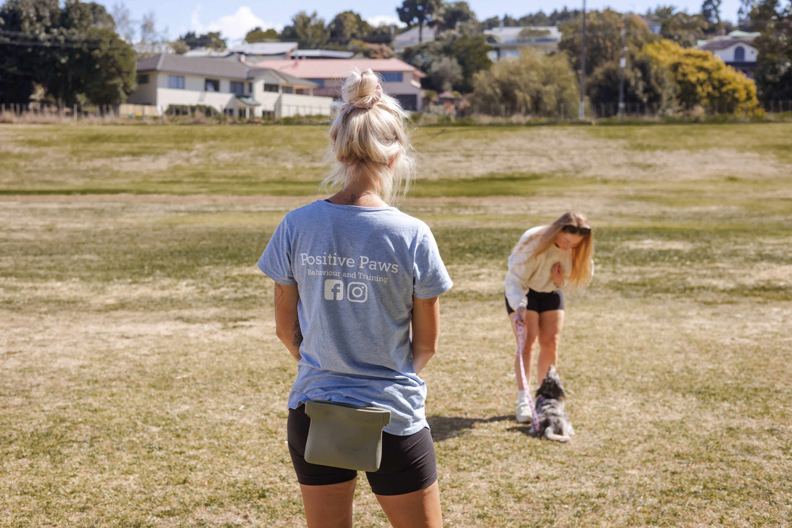 Coaching human owner how to handle their puppy