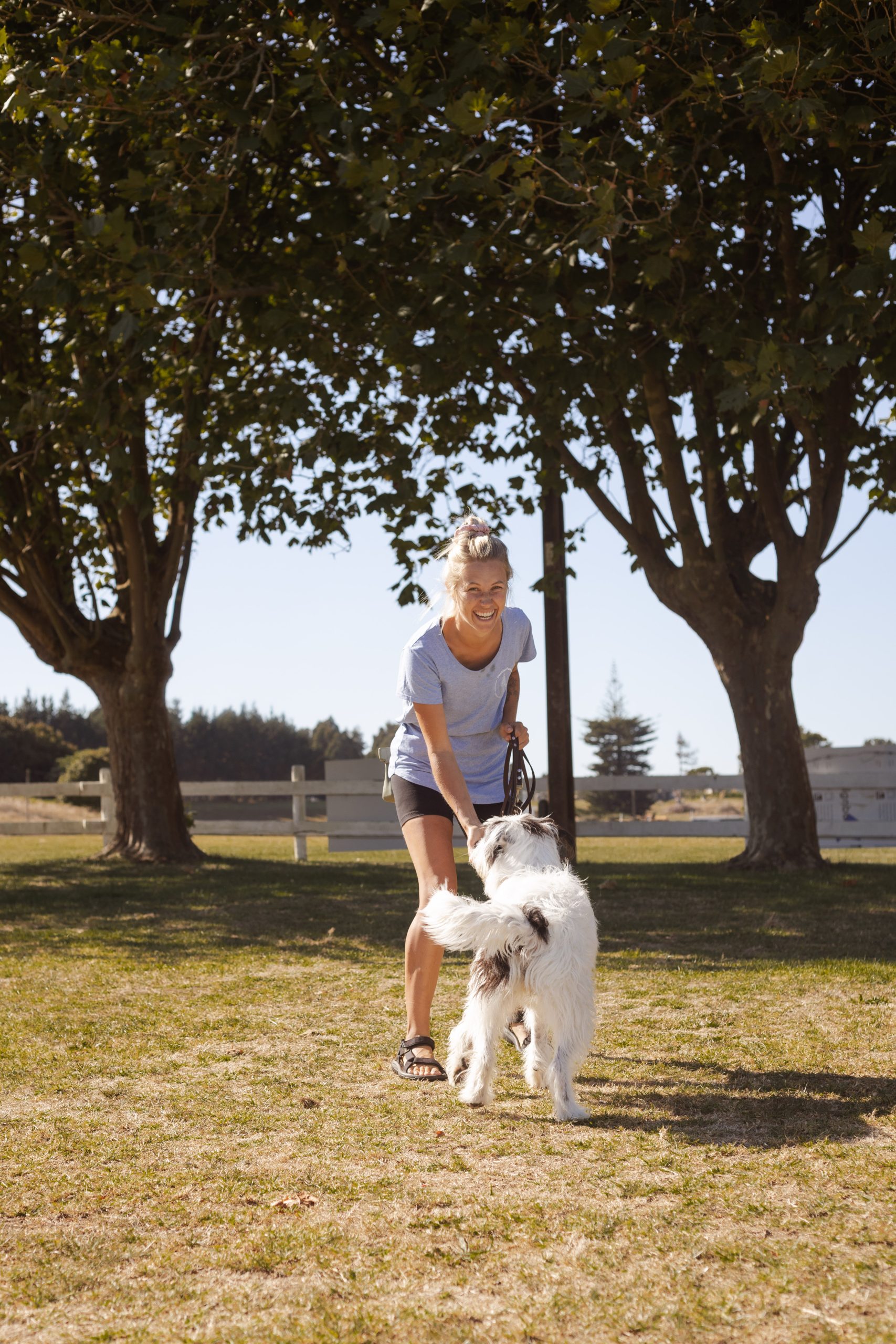 excited dog getting treats