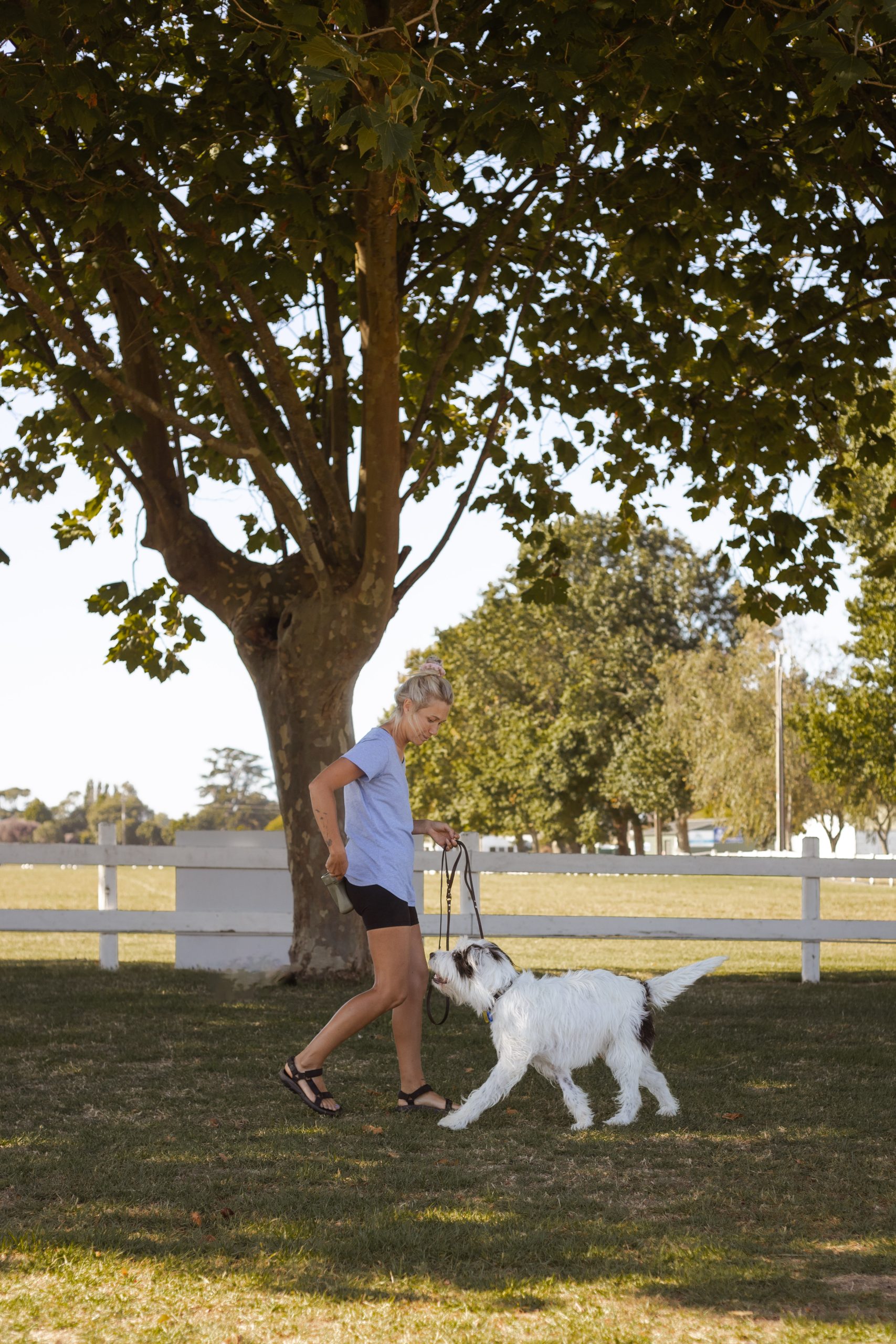 Day training in action