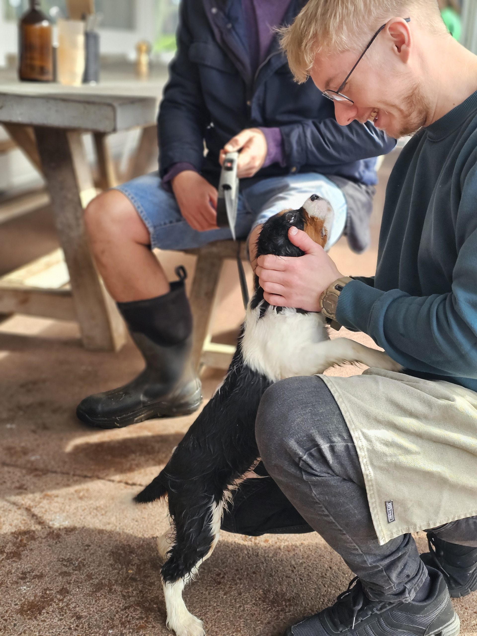 Socialising puppy with humans in the 4 week puppy course